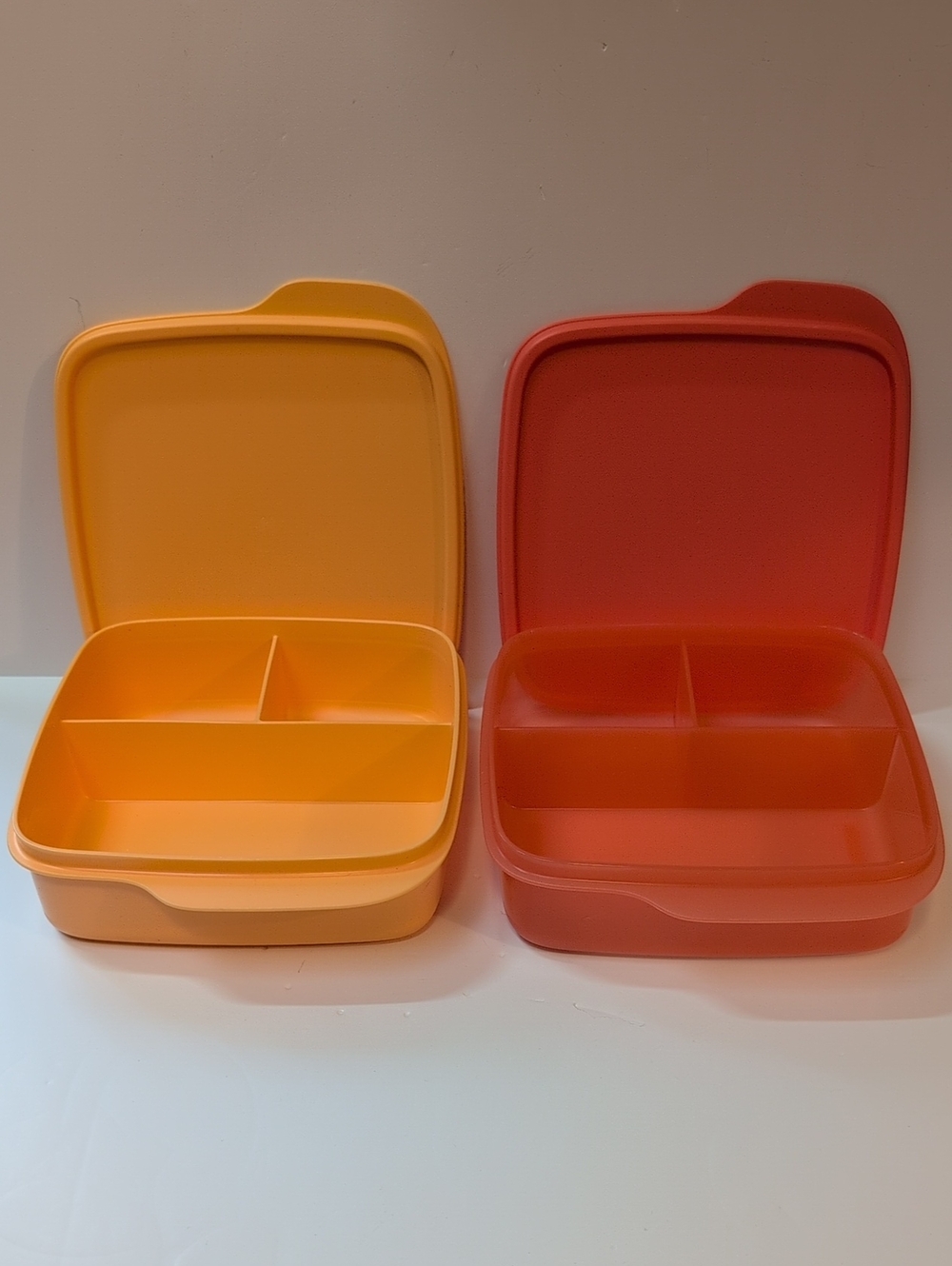Tupperware®️ Eco Divided Dishes - Set Of 2